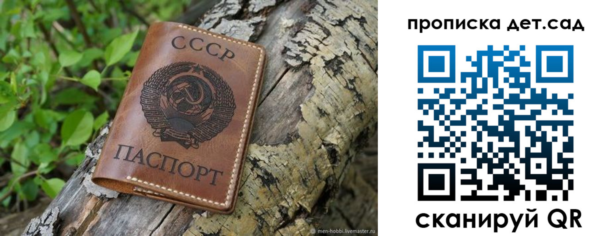 прописка иностранных граждан в Зеленоградске